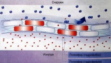 svoystvacoretex