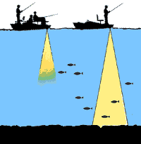 Эхолоты для рыбалки-подробное описание работы,использование эхолота