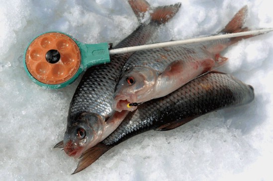 Зимняя рыбалка, удочки для зимней рыбалки, зимние удочки, как выбрать удочку для зимней рыбалки, мормышки, как выбрать мормышку, зимние блесны, как выбрать блесны для зимней рыбалки, хлыстик для зимней удочки