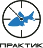 Практик