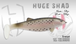 Силиконовая приманка HERAKLES HUGE SHAD 20 (Trout)