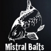 Футболки MISTRAL BAITS