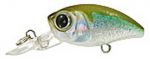 Воблер Anglers Republic BUGMINNOW 25MR цвет WA