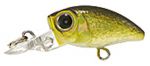 Воблер Anglers Republic BUGMINNOW 20MR цвет GB