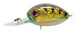 Воблер PONTOON21 Red Rag 36F-MDR  цвет №307 Crash HG Gold Perch