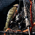 Катушка Okuma Ceymar HD C5000XA Spinning Reel 6.2:1 High Speed